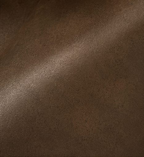 Leather surface texture